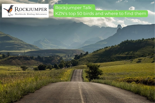 Rockjumper Talk: KZN's top 50 birds and where to find them - Hilton Arts Festival 2025
